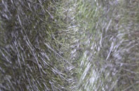 Duntisbourne Abbots fibreglass roof work